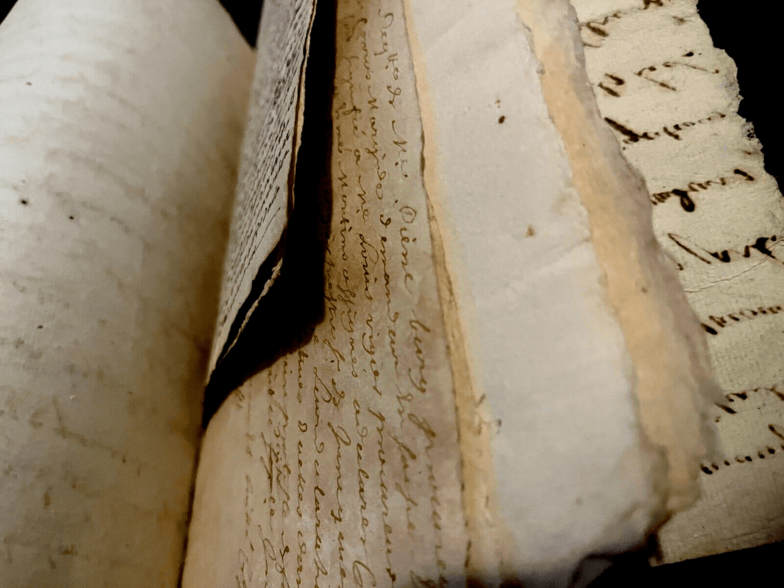 When the Past Requires Precision: Repairing Antique Books and Manuscripts