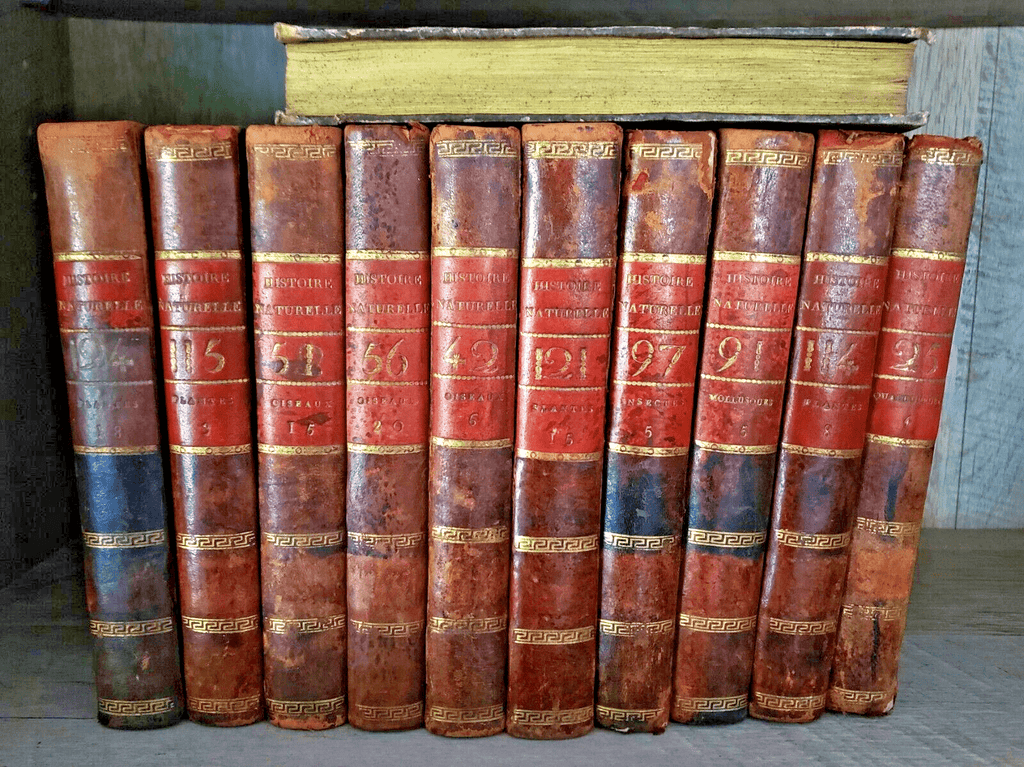 NATURAL HISTORY OF BUFFON 1799 - 1808 Engraved Editions of Animals, Fish, Birds | Books & Magazines > Antiquarian & Collectible | Antique Books & Manuscripts | Antique Books & Manuscripts | Rare Historical Documents Worldwide