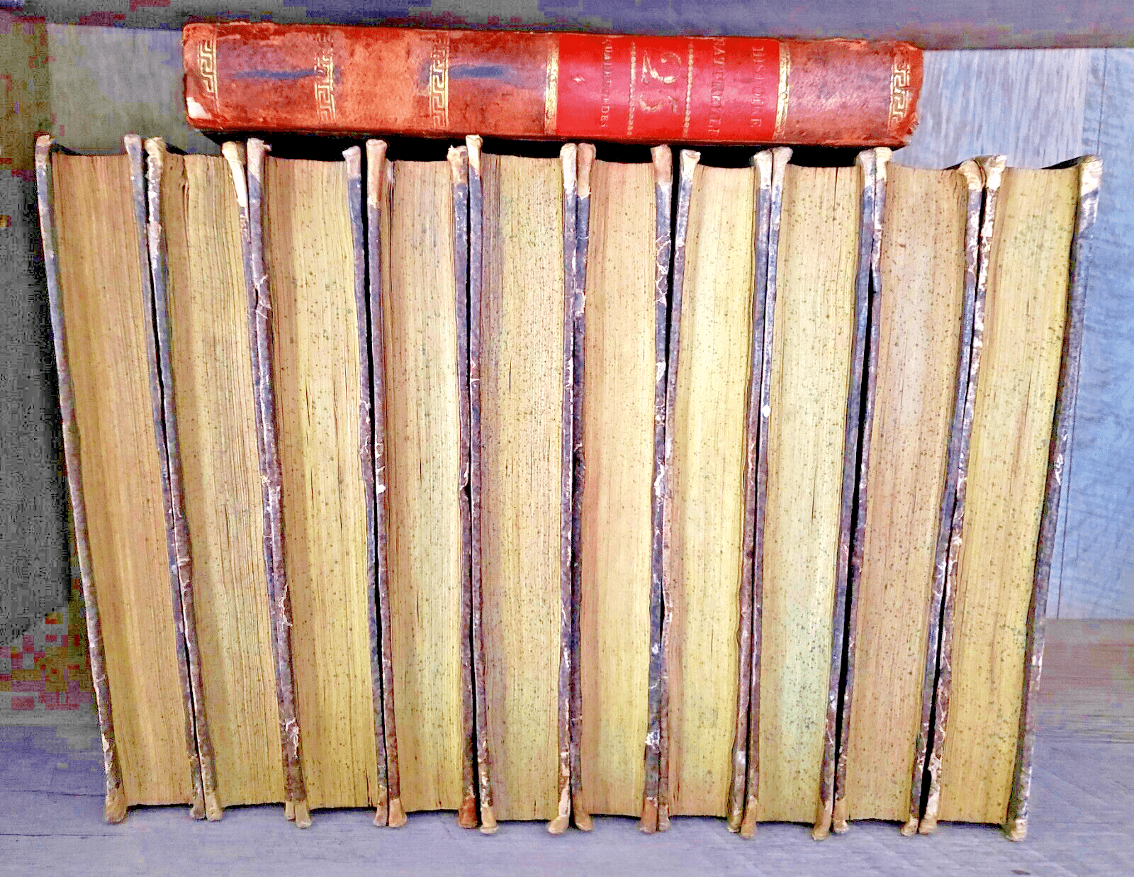 NATURAL HISTORY OF BUFFON 1799 - 1808 Engraved Editions of Animals, Fish, Birds | Books & Magazines > Antiquarian & Collectible | Antique Books & Manuscripts | Antique Books & Manuscripts | Rare Historical Documents Worldwide