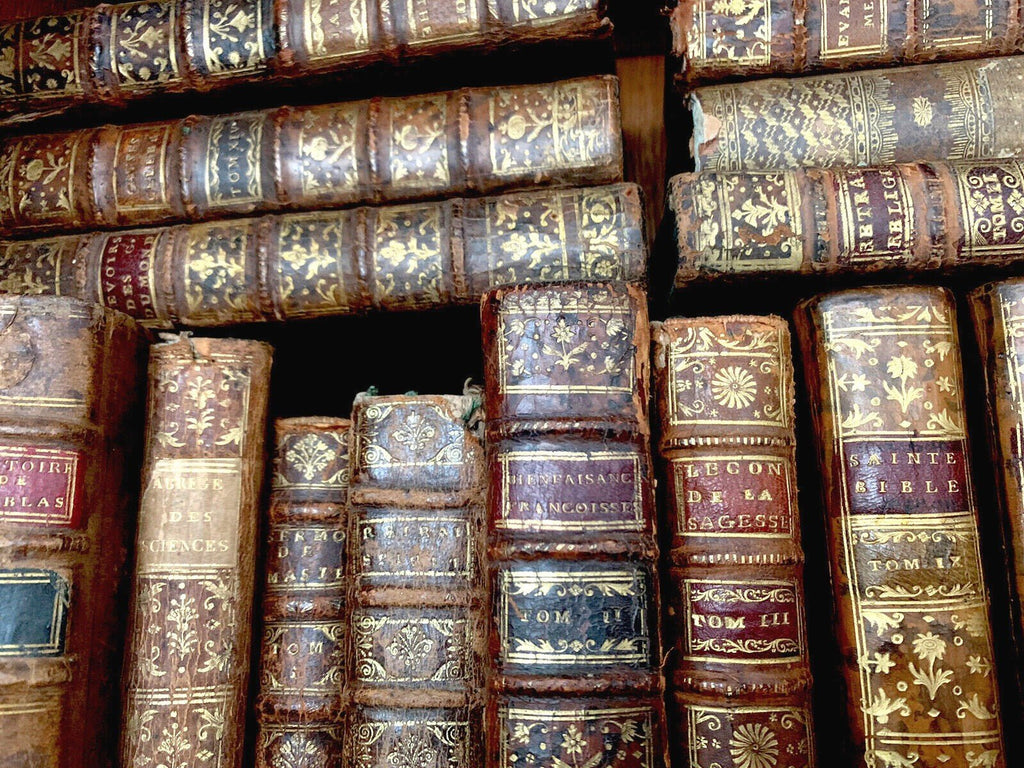 Close-up of aged leather spine with gold detailing